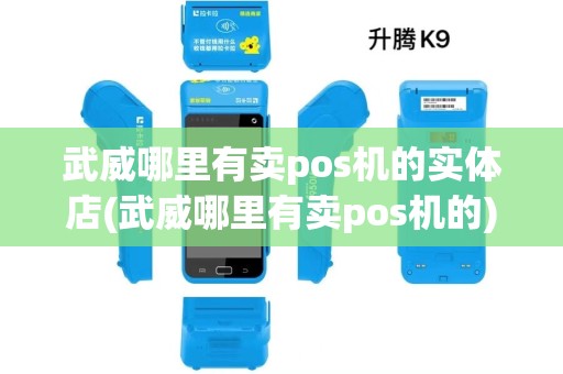 武威哪里有卖pos机的实体店(武威哪里有卖pos机的)