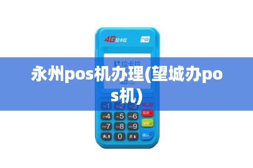 永州pos机办理(望城办pos机)