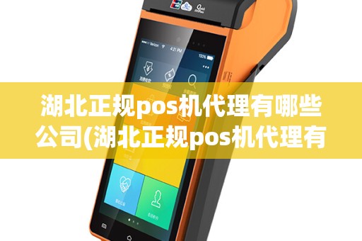 湖北正规pos机代理有哪些公司(湖北正规pos机代理有哪些)