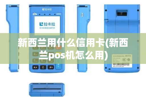 新西兰用什么信用卡(新西兰pos机怎么用)
