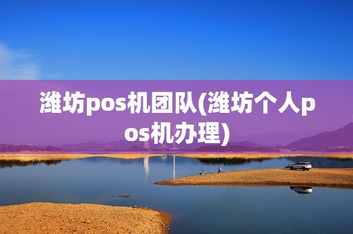 潍坊pos机团队(潍坊个人pos机办理)