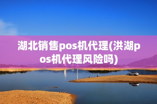 湖北销售pos机代理(洪湖pos机代理风险吗)