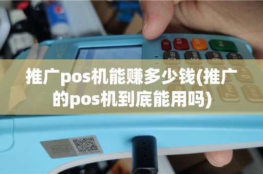 推广pos机能赚多少钱(推广的pos机到底能用吗)