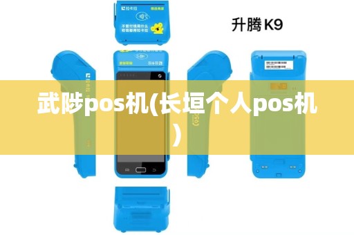 武陟pos机(长垣个人pos机)