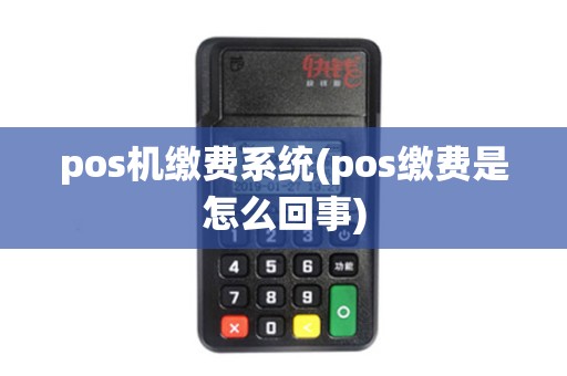pos机缴费系统(pos缴费是怎么回事)
