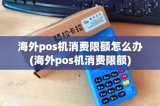 海外pos机消费限额怎么办(海外pos机消费限额)