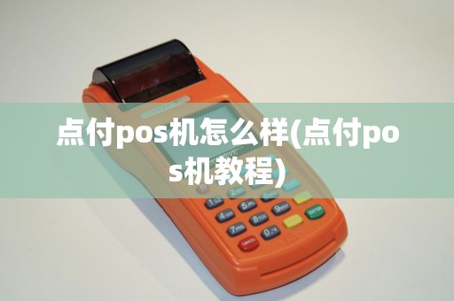 点付pos机怎么样(点付pos机教程)