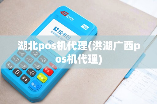 湖北pos机代理(洪湖广西pos机代理)