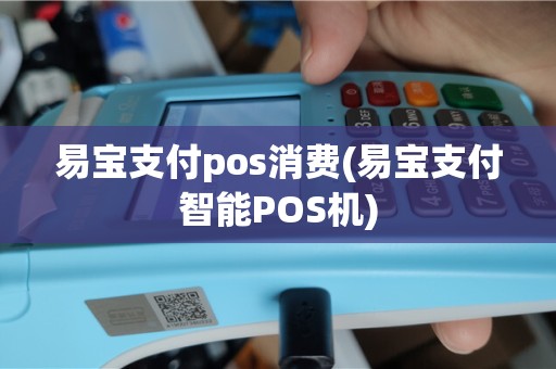易宝支付pos消费(易宝支付智能POS机)