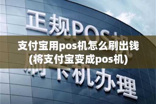 支付宝用pos机怎么刷出钱(将支付宝变成pos机)