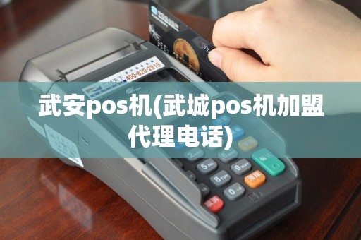 武安pos机(武城pos机加盟代理电话)