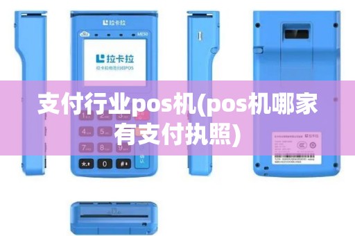 支付行业pos机(pos机哪家有支付执照)