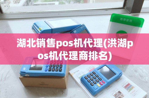 湖北销售pos机代理(洪湖pos机代理商排名)