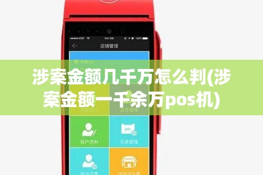 涉案金额几千万怎么判(涉案金额一千余万pos机)