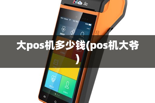大pos机多少钱(pos机大爷)
