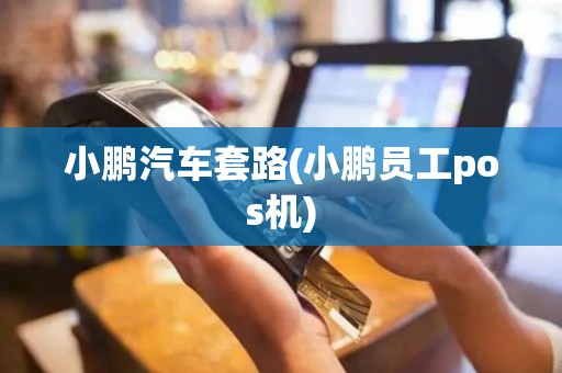 小鹏汽车套路(小鹏员工pos机)