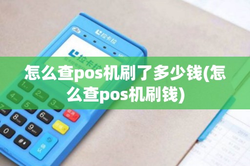 怎么查pos机刷了多少钱(怎么查pos机刷钱)
