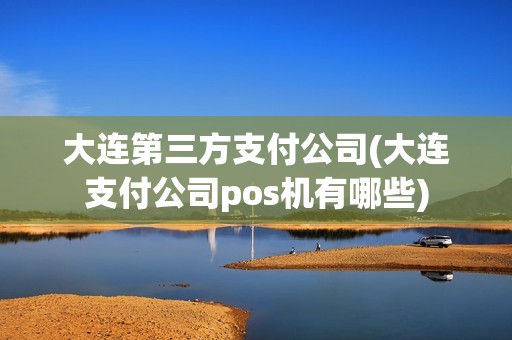 大连第三方支付公司(大连支付公司pos机有哪些)