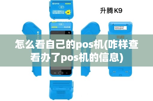怎么看自己的pos机(咋样查看办了pos机的信息)
