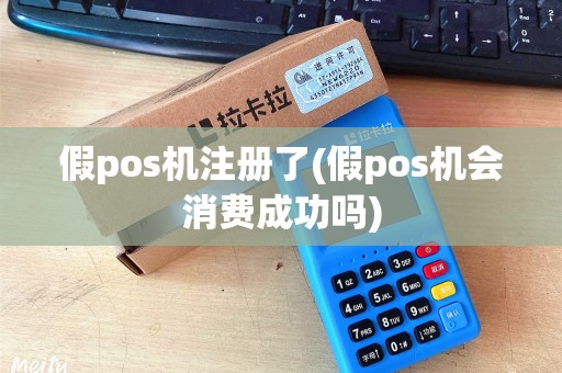 假pos机注册了(假pos机会消费成功吗)