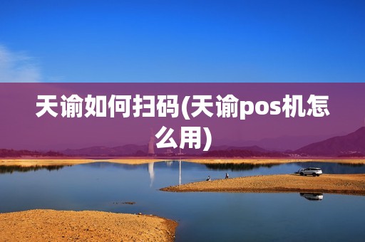 天谕如何扫码(天谕pos机怎么用)