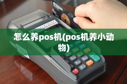 怎么养pos机(pos机养小动物)