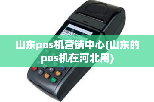 山东pos机营销中心(山东的pos机在河北用)