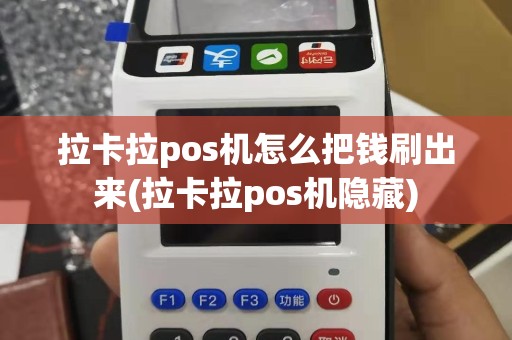 拉卡拉pos机怎么把钱刷出来(拉卡拉pos机隐藏)