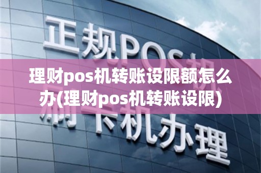 理财pos机转账设限额怎么办(理财pos机转账设限)