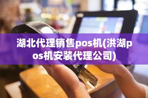 湖北代理销售pos机(洪湖pos机安装代理公司)