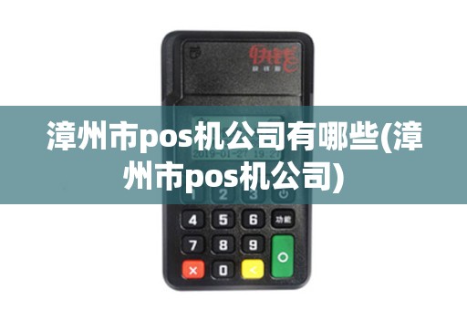 漳州市pos机公司有哪些(漳州市pos机公司)