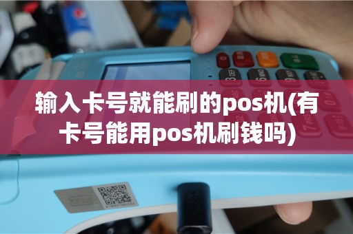 输入卡号就能刷的pos机(有卡号能用pos机刷钱吗)