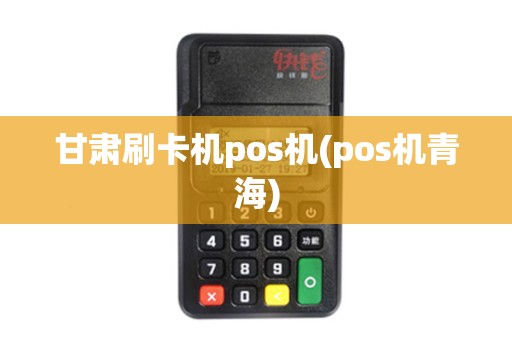 甘肃刷卡机pos机(pos机青海)
