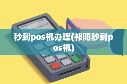 秒到pos机办理(祁阳秒到pos机)