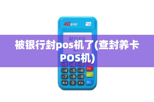 被银行封pos机了(查封养卡POS机)