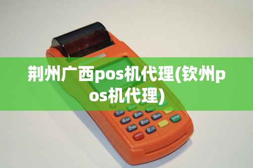 荆州广西pos机代理(钦州pos机代理)