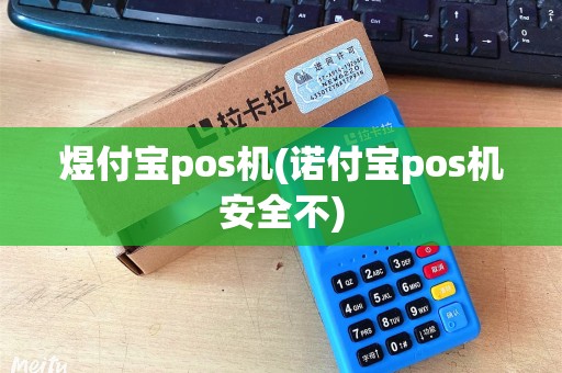 煜付宝pos机(诺付宝pos机安全不)