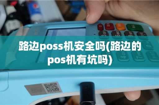 路边poss机安全吗(路边的pos机有坑吗)