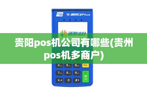 贵阳pos机公司有哪些(贵州pos机多商户)