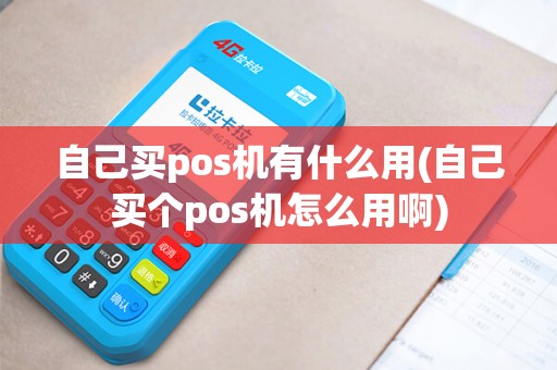自己买pos机有什么用(自己买个pos机怎么用啊)