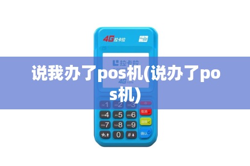 说我办了pos机(说办了pos机)