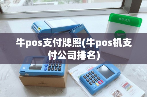 牛pos支付牌照(牛pos机支付公司排名)