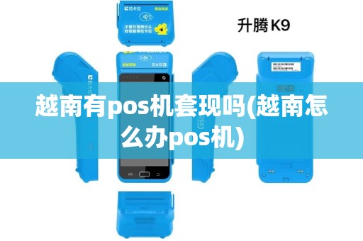 越南有pos机套现吗(越南怎么办pos机)