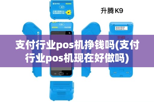 支付行业pos机挣钱吗(支付行业pos机现在好做吗)
