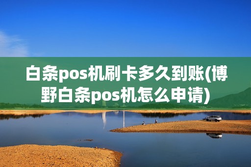 白条pos机刷卡多久到账(博野白条pos机怎么申请)