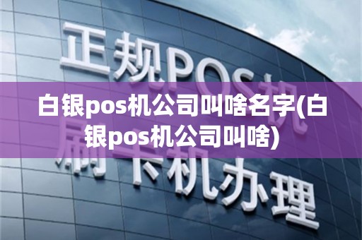 白银pos机公司叫啥名字(白银pos机公司叫啥)