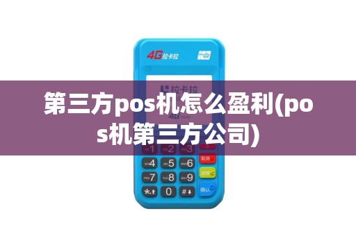 第三方pos机怎么盈利(pos机第三方公司)