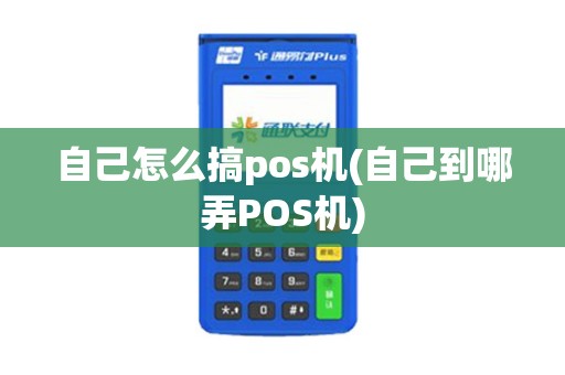自己怎么搞pos机(自己到哪弄POS机)