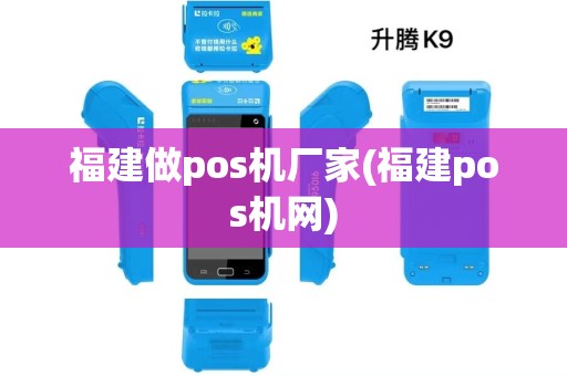 福建做pos机厂家(福建pos机网)