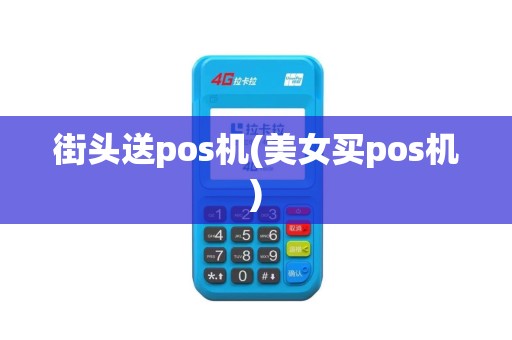街头送pos机(美女买pos机)